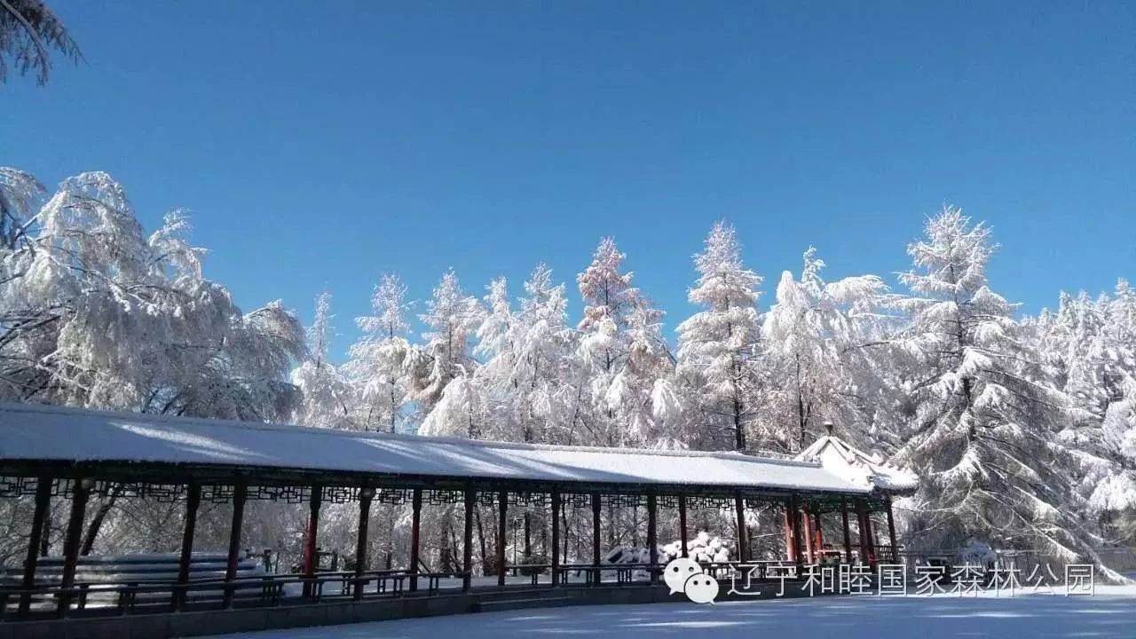 和睦冬季雪景 抚顺文化旅游网,抚顺文化,抚顺旅游