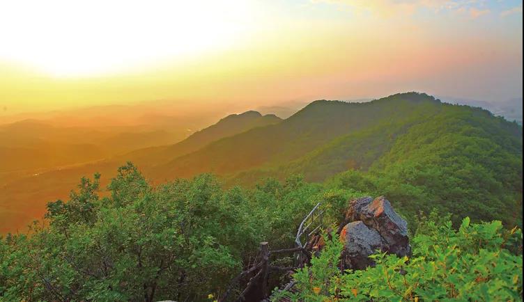 紫花岭风景区