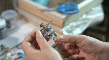 微信图片_20230725103032.gif